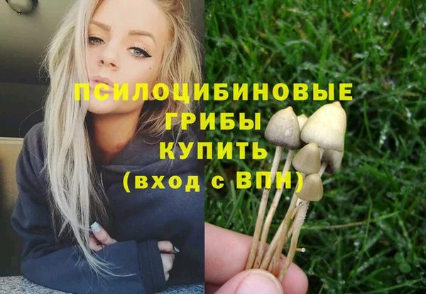 дживик Дмитровск