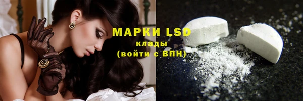 ПСИЛОЦИБИНОВЫЕ ГРИБЫ Дмитриев