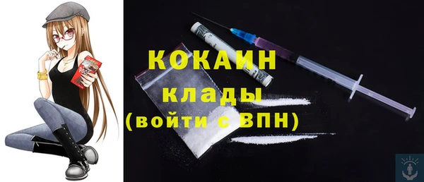 ПСИЛОЦИБИНОВЫЕ ГРИБЫ Дмитриев