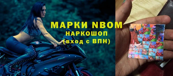 ПСИЛОЦИБИНОВЫЕ ГРИБЫ Дмитриев