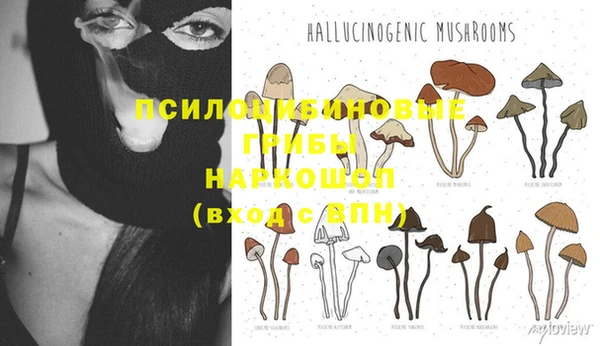 ПСИЛОЦИБИНОВЫЕ ГРИБЫ Дмитриев