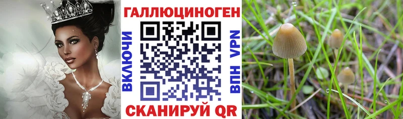 Галлюциногенные грибы ЛСД  как найти закладки  блэк спрут ТОР  Канаш 