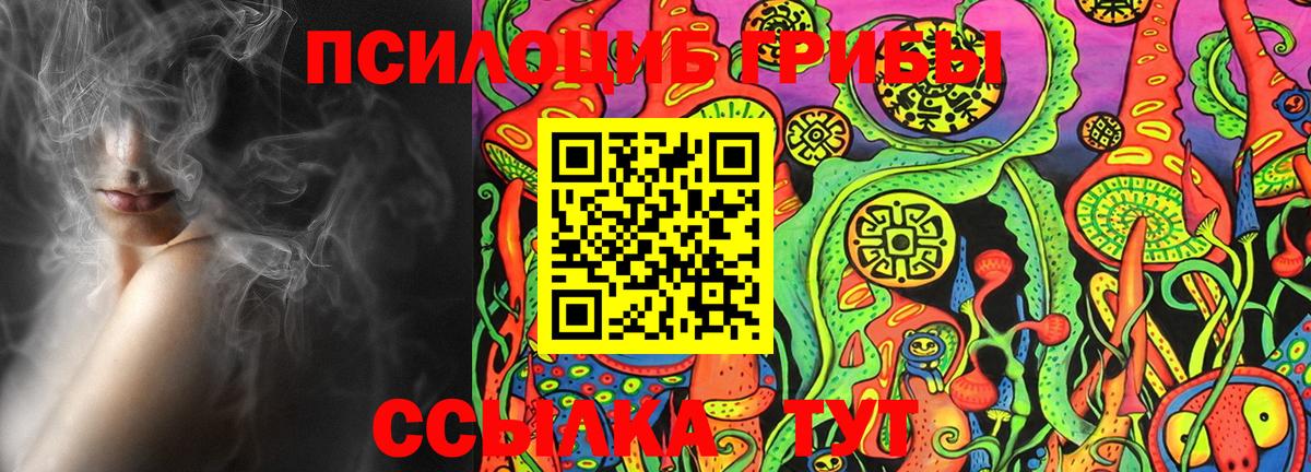 Галлюциногенные грибы Psilocybine cubensis Канаш