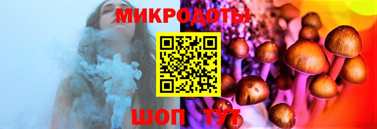 Галлюциногенные грибы Magic Shrooms Канаш